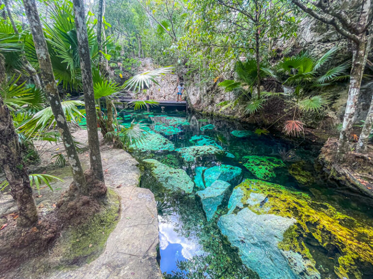 Cenote Minotauro overview