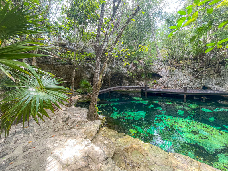 Cenote Minotauro platform