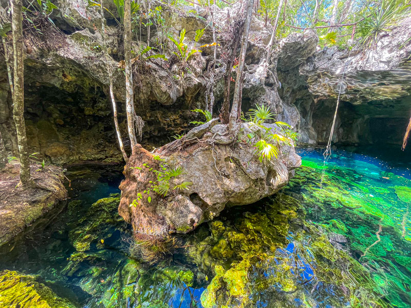 Cenote Minotauro rocks