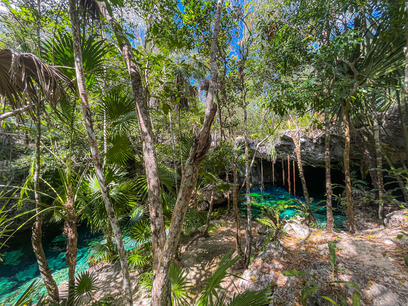 Cenote Minotauro wide overview