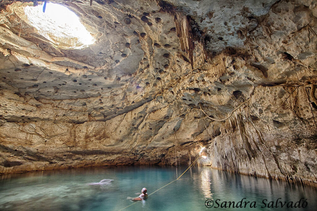 Cenote Hool Kosom, Homun