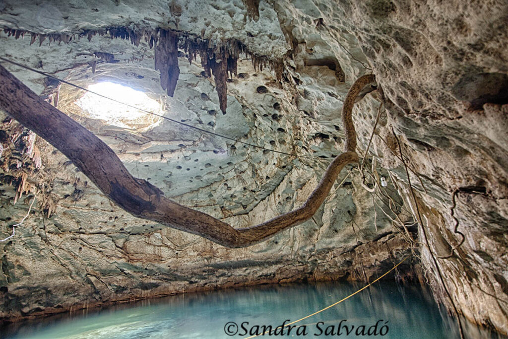 Cenote Hool Kosom, Homun, Yucatan