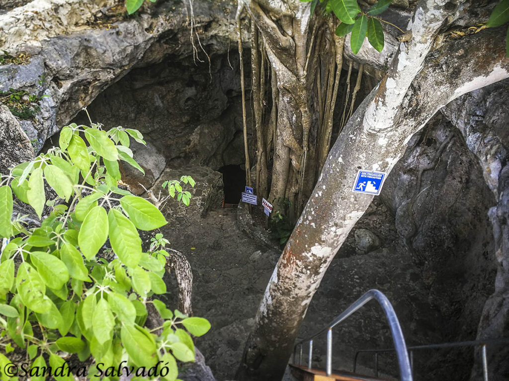 Cenote Hool Kosom