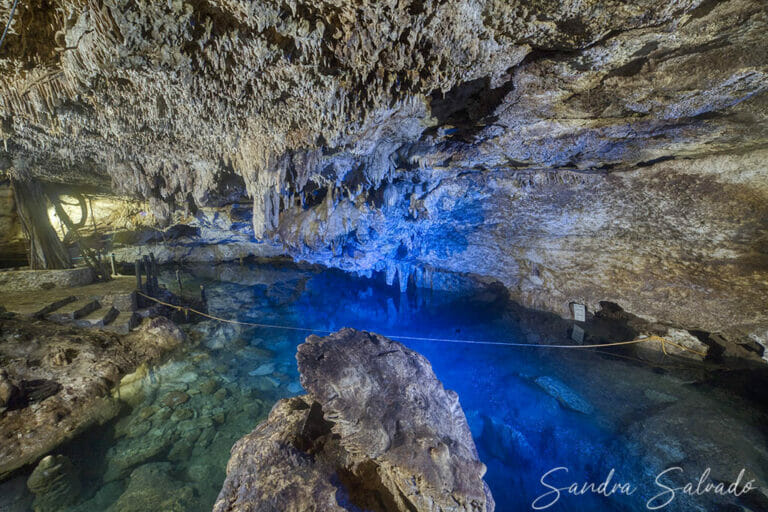 Cenote Che en yuc, Homun
