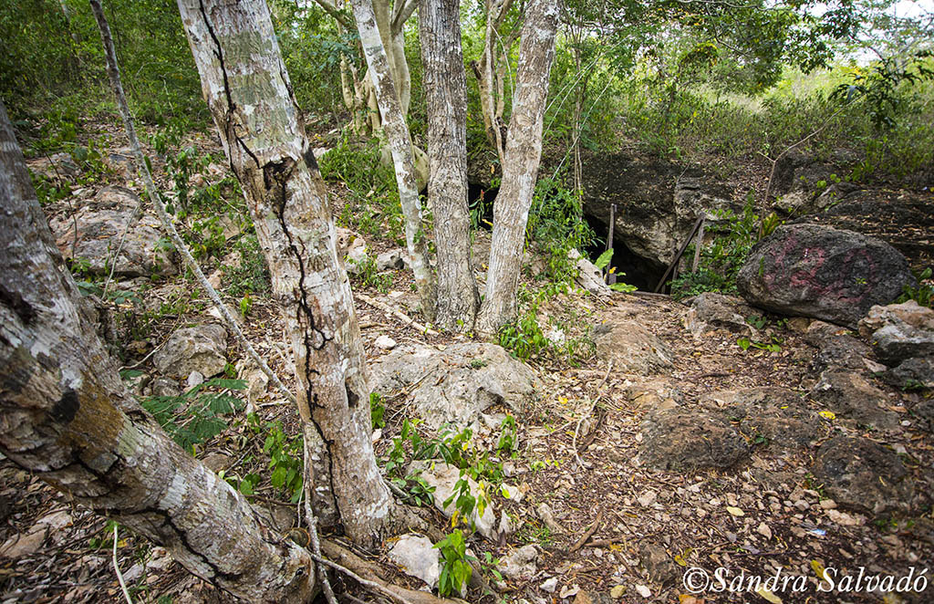 entrance cenote chel paak