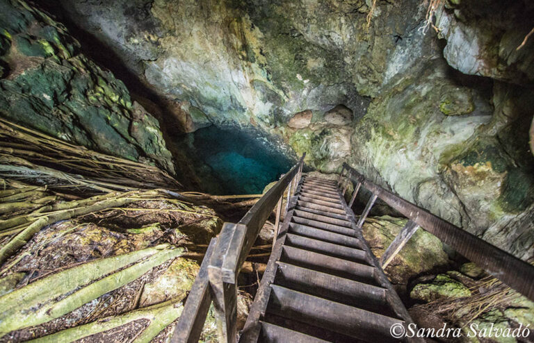 cenote chel paak, homun