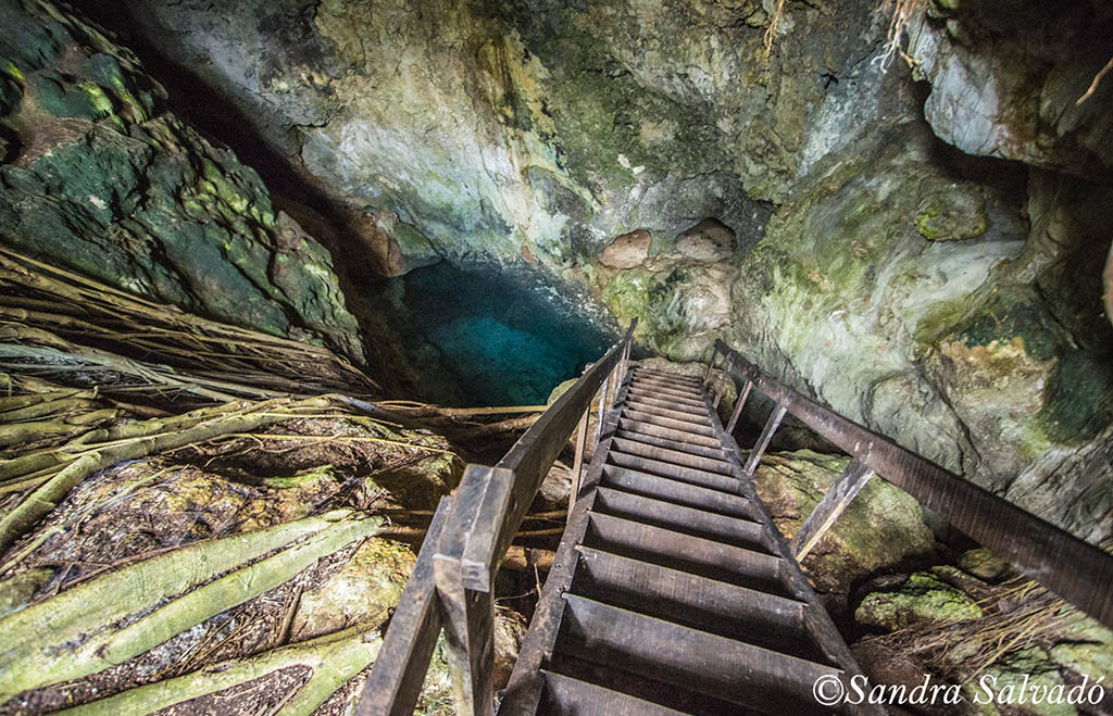 cenote chel paak, homun