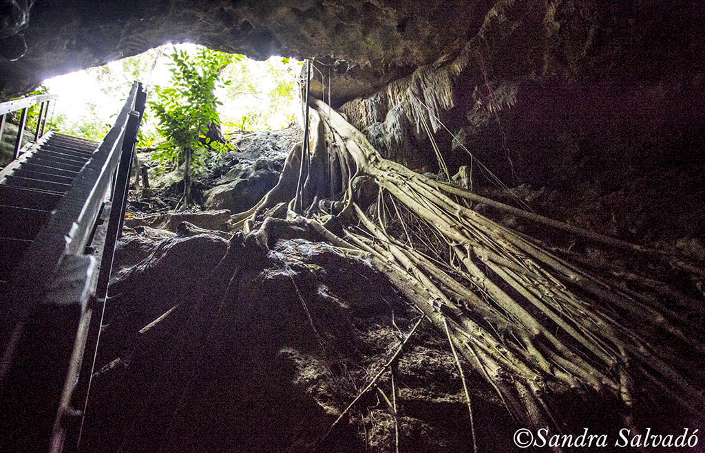 cenote Chel paak homun