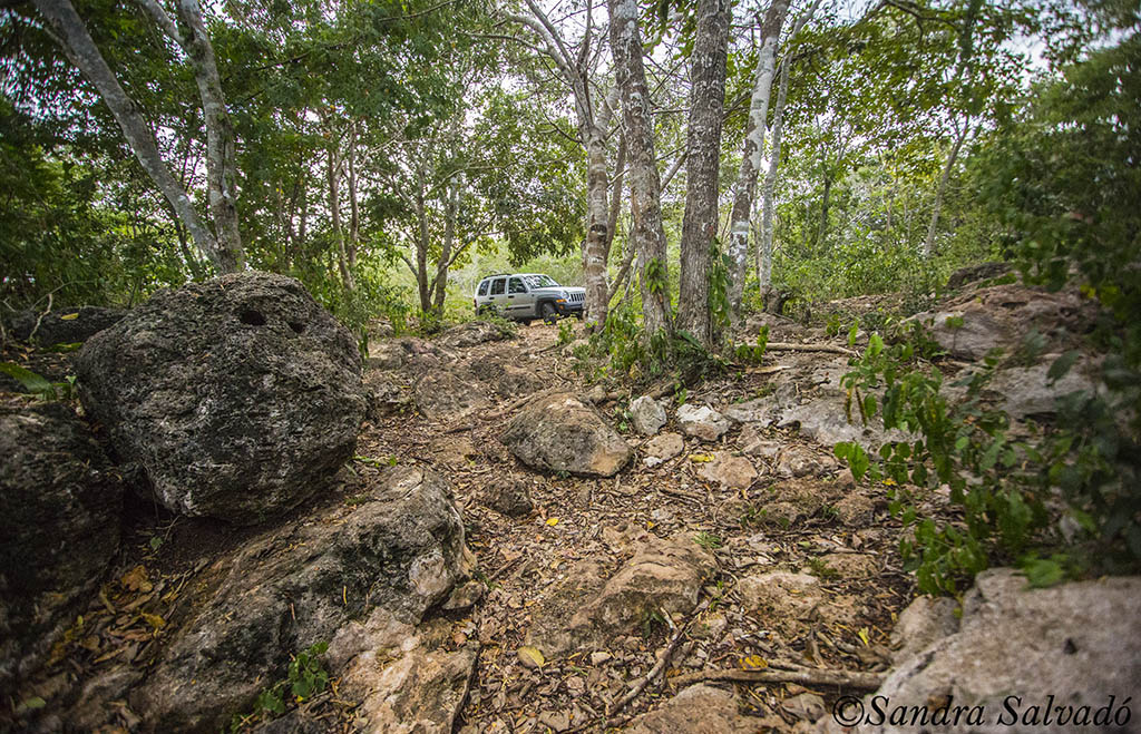 cenote Chel paak