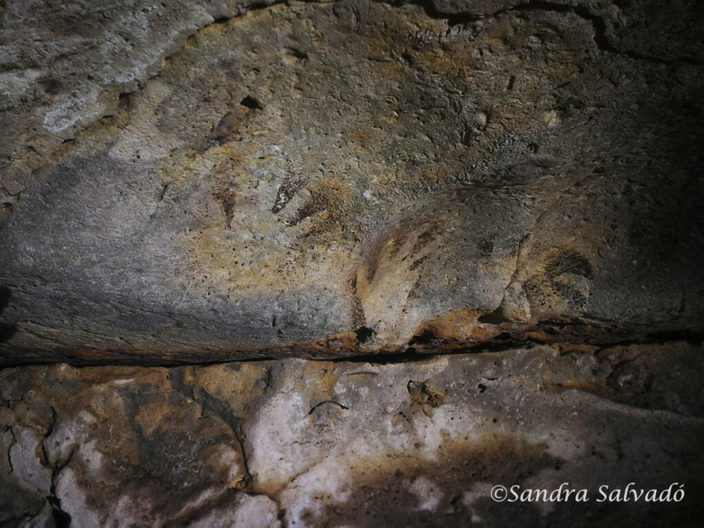 Cenote Chulul homun