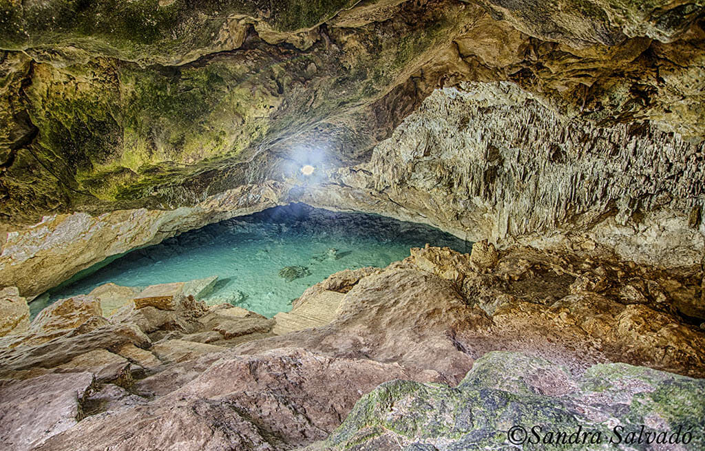 Cenote Pool Uinic, Homun