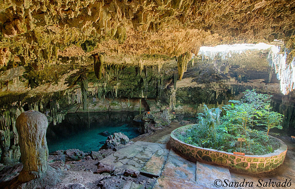 Cenote tza ujun kat, Homun
