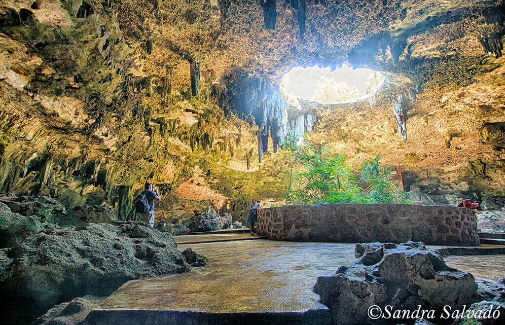 Cenote tza ujun kat, Homun