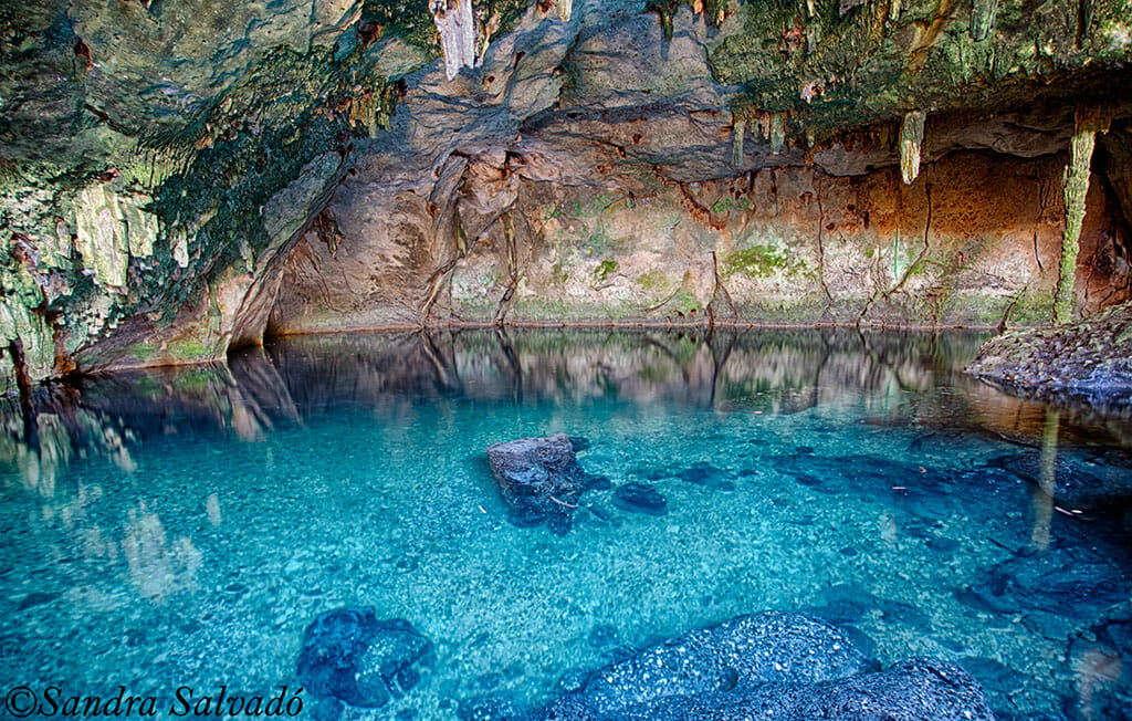 Cenote tza ujun kat, Homun