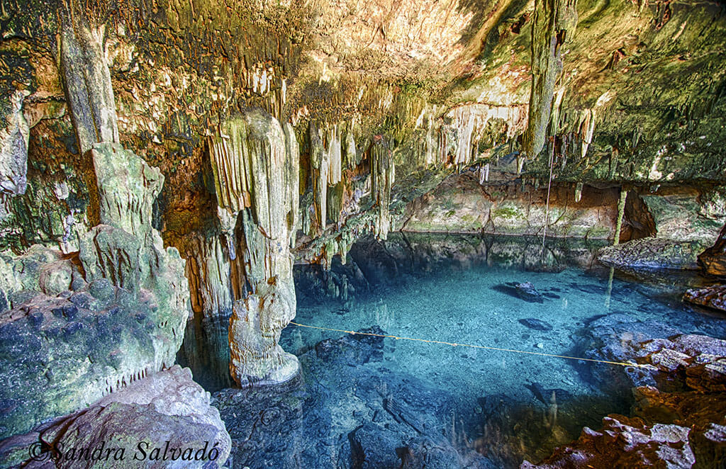 Cenote tza ujun kat, Homun