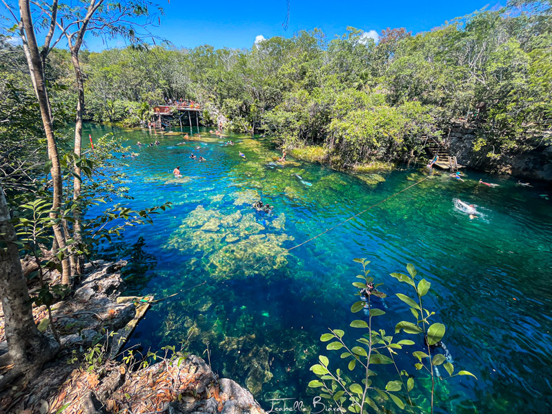 Eden Cenote overview
