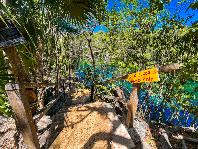 eden diver stairs