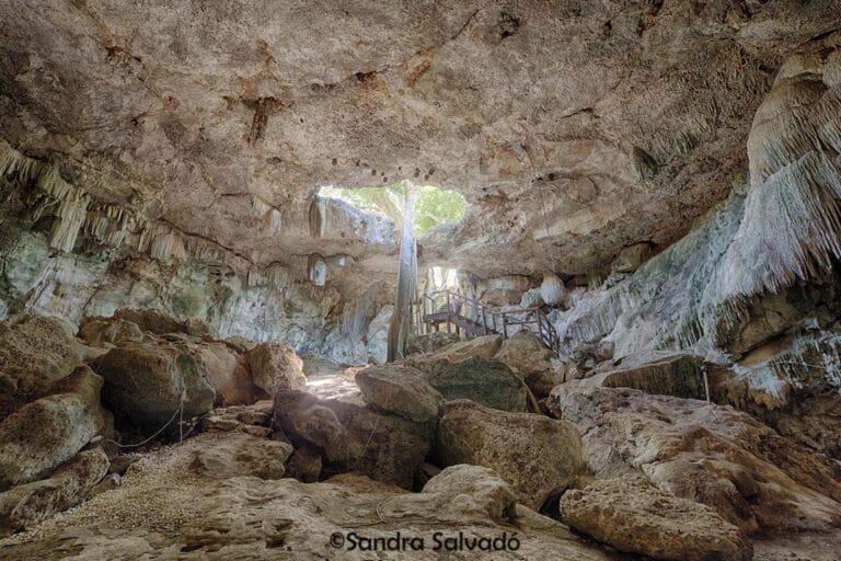 A natural cave with large rock formations and stalactites, featuring a wooden walkway and sunlight streaming through an opening above.