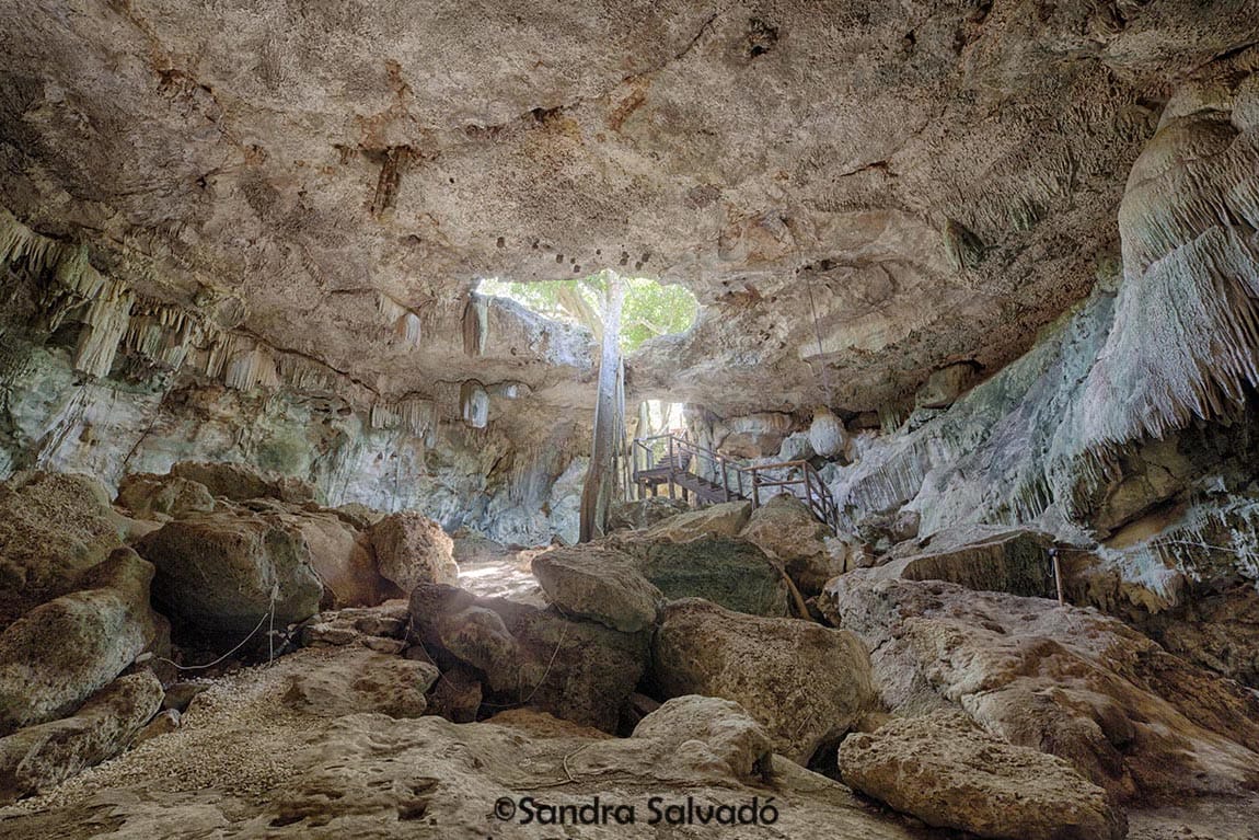 A natural cave with large rock formations and stalactites, featuring a wooden walkway and sunlight streaming through an opening above.