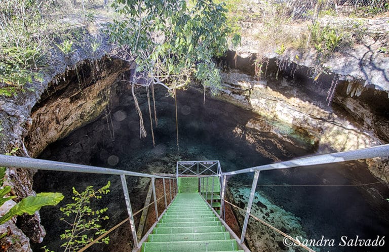 cenotes homun
