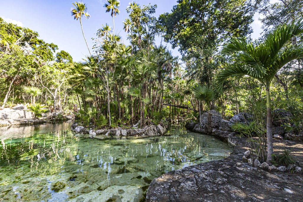 Cenote Yax-kin Overview with platform for relaxation