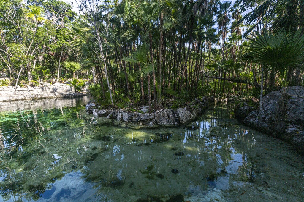 Yax-kin Cenote overview