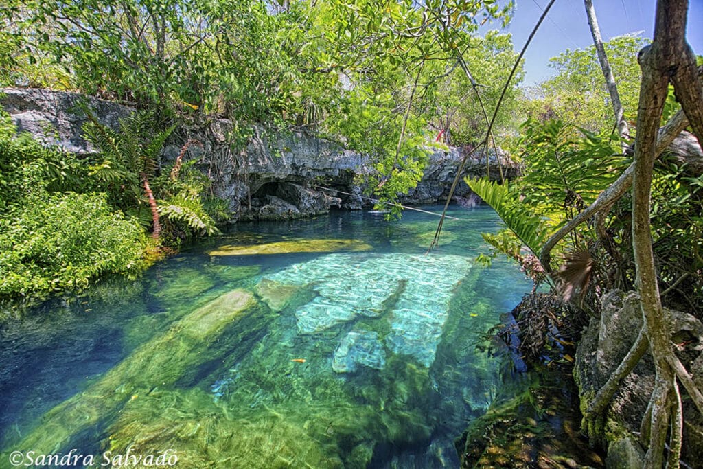 Cenote Cristalino, Tulum