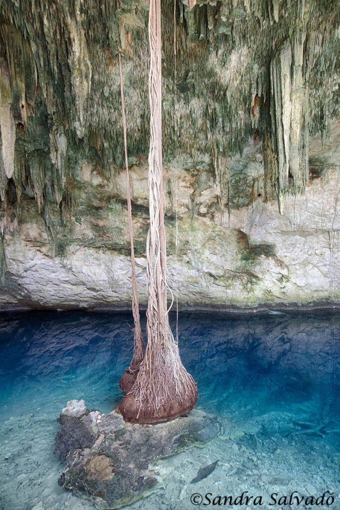 Cenotes Santa Barbara, cenote Chasikín, Homun, Yucatan