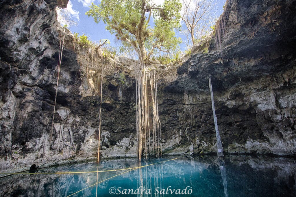 Cenotes Santa Barbara, cenote Xoch', Homun, Yucatan