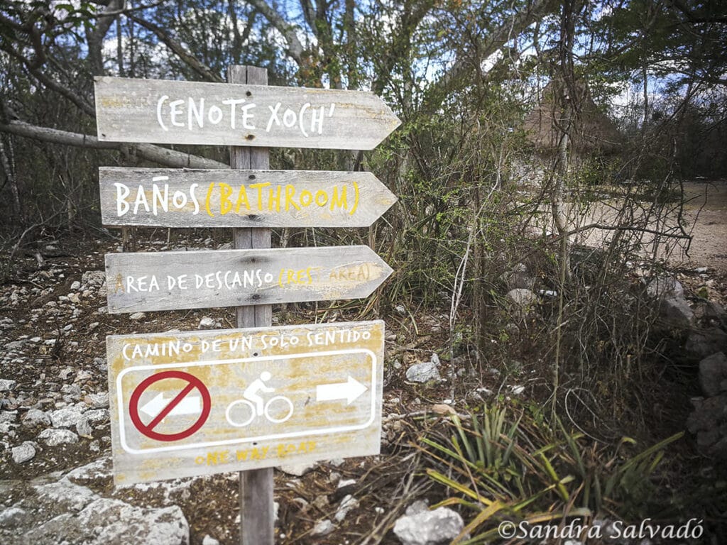 Cenotes Santa Barbara, Homun, Yucatan