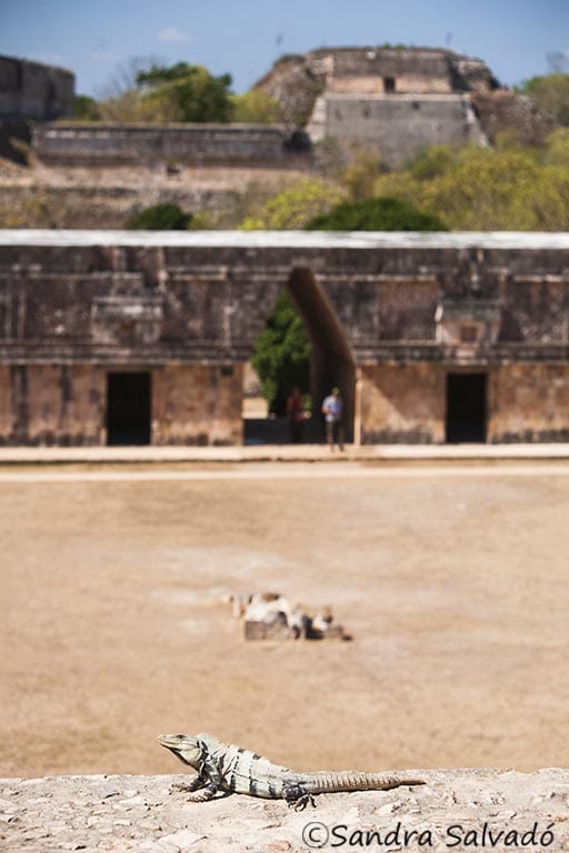 uxmal ruins