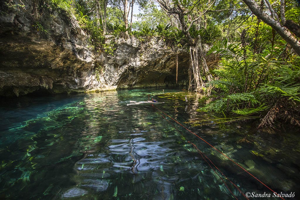 A person swims in a clear cenote surrounded by lush greenery and rocky formations under a sunny sky, creating a tranquil scene.