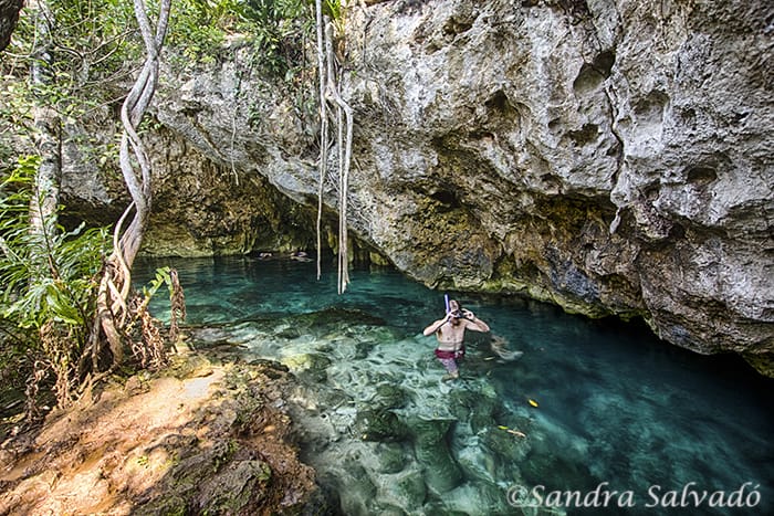 A person snorkels in clear turquoise waters of a rocky cenote, surrounded by lush vegetation and limestone formations.