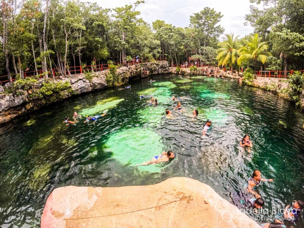 People swimming in a clear cenote surrounded by lush greenery and trees, with vibrant reflections in the water and a rocky edge pathway.